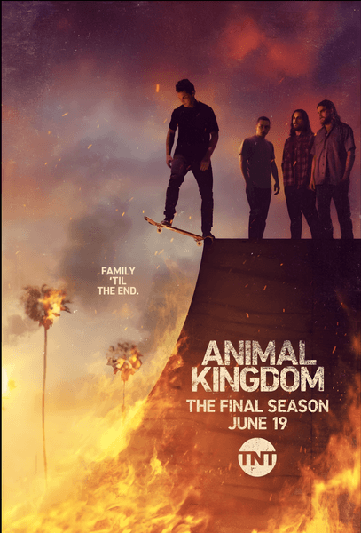 Animal Kingdom - a movie that Rob Welsh has paricipated in